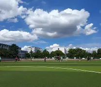 乐动体育在线游戏-劲敌